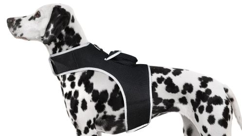 Small Portable Security Monitor Realtime Mini Waterproof Pet Tracker Size:XL