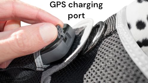 Dog Cat Security Monitoring Portable Mini GSM GPS Realtime Pet Tracker Size:XXL