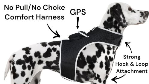 Small Pet Tracker Cat Dog Lost Detector Security GPS Tracking Device Size:L